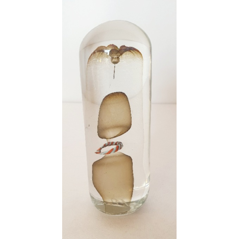 Glazen presse-papier, Gesigneerd MP'82